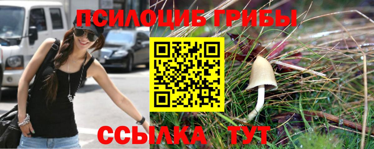 Галлюциногенные грибы Cubensis  Вход с VPN  Тавда 